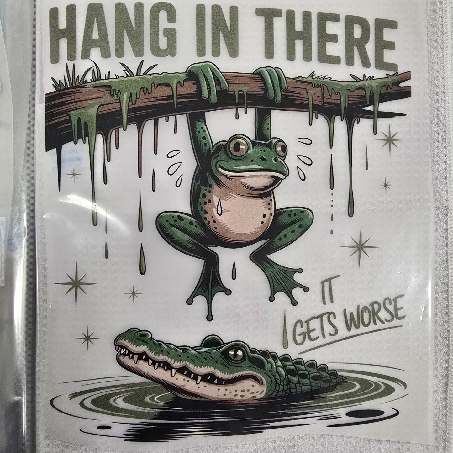 Hang In There Custom Full Color Ready For Press DTF Print Transfer, Direct To Film