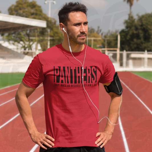 They Ain’t Us Panthers Custom Full Color Ready For Press DTF Print Transfer, Direct To Film