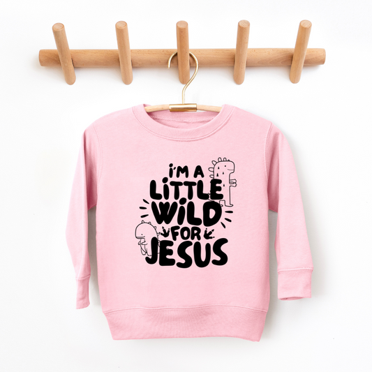 Wild For Jesus Youth & Toddler Sweatshirt Youth Graphic Sweatshirt Tea Shirt Shoppe 2T Pink