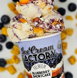 Blueberry Shortcake 12oz Ice Cream
