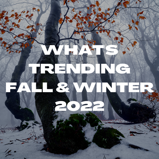 6 Trending Styles 2022 for Fall and Winter