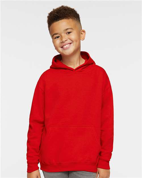 Youth Hoodie Sweatshirt - 2296