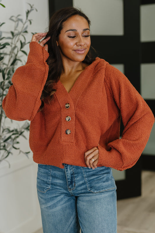 All For Me Henley Sweater in knit