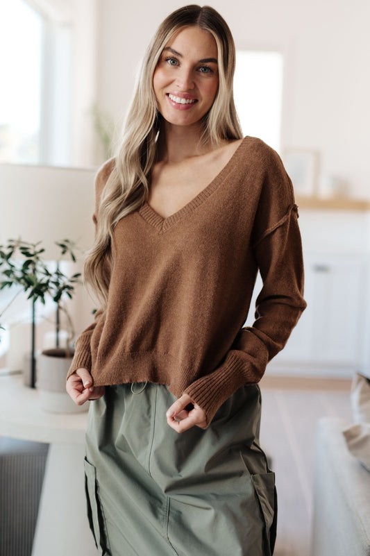 Back to Life V-Neck Sweater in Mocha, knit