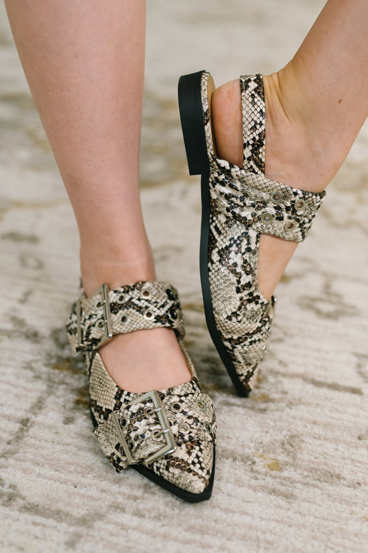 Crazy Train Buckle Pointy Toe Flats in Snakeskin, leather