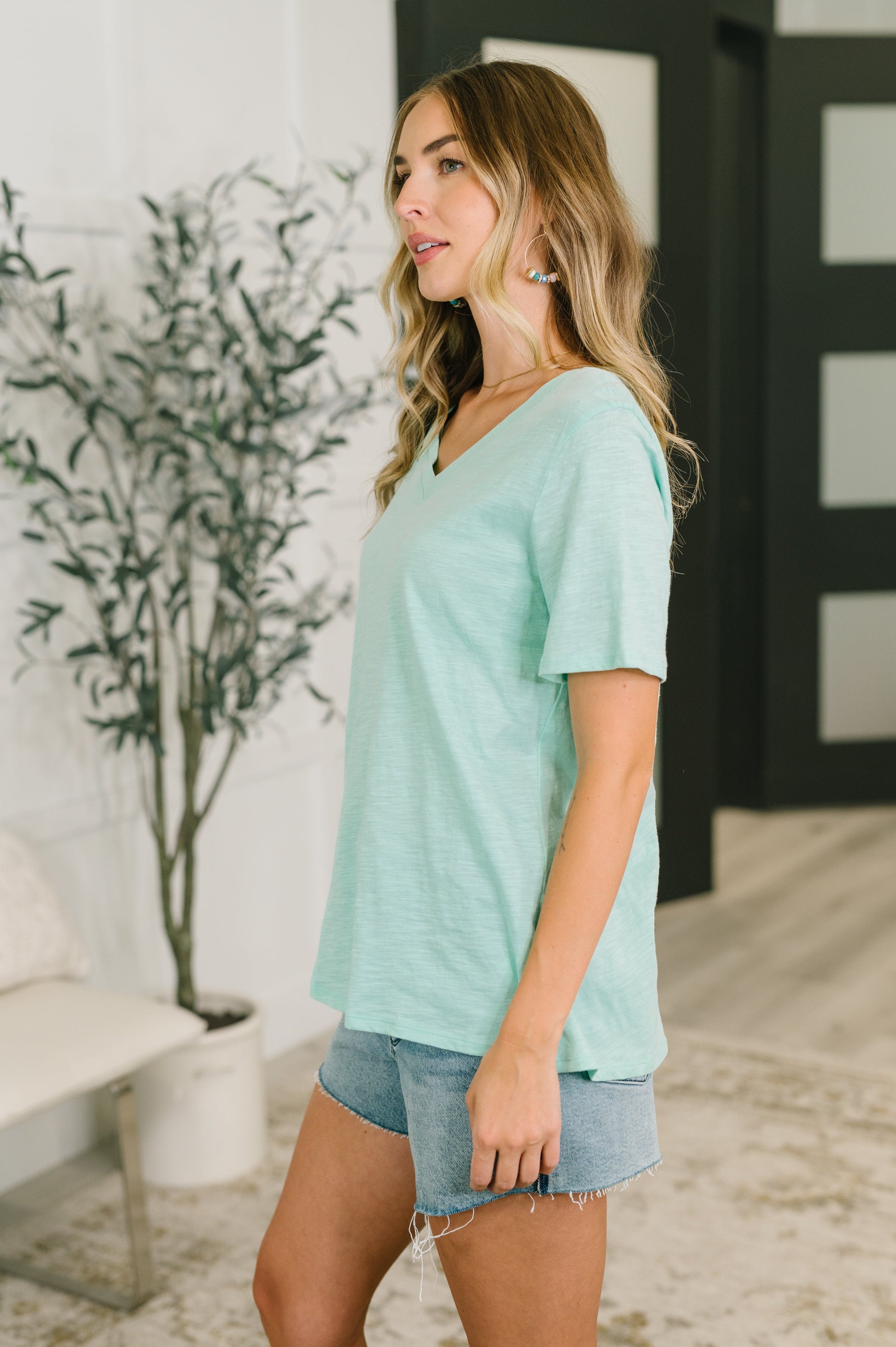 I Don't Have to Choose v-neck tee in mint heathered knit – alternate view 4