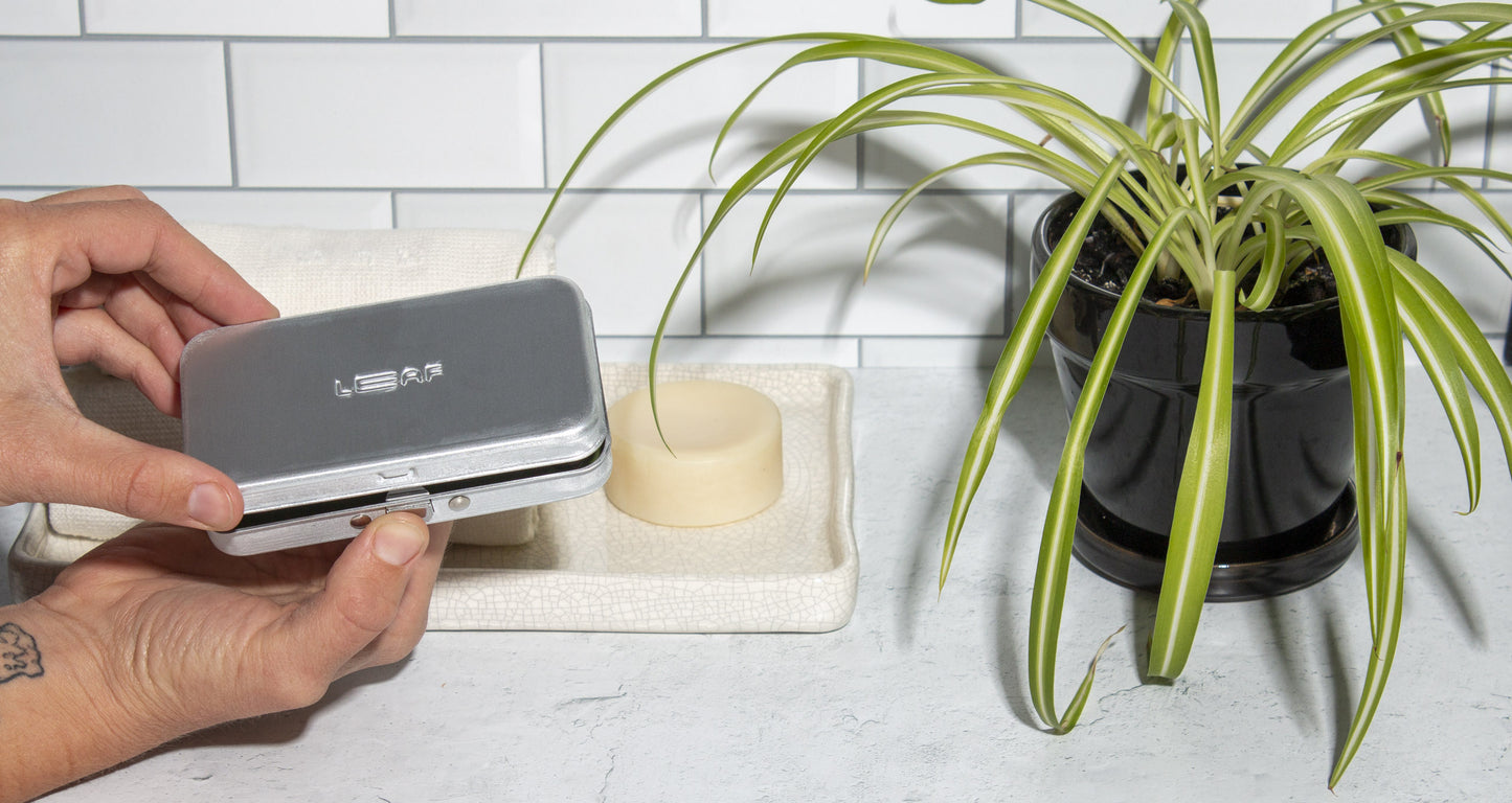 Leaf SE Travel Case