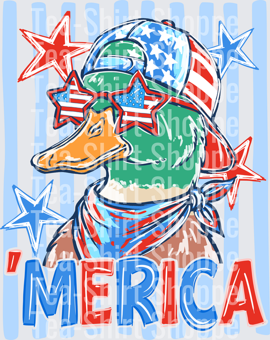 American Duck