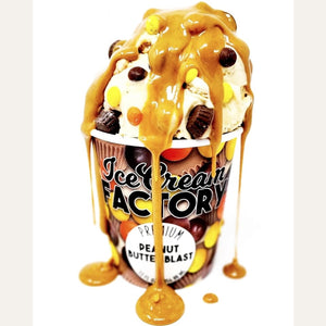 Ice Cream Factory Peanut Butter Blast Ice Cream